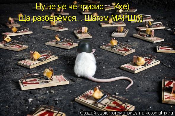 Ну не чё че кризис.... Кхе) Ща разберёмся... Шагом МАРШ)))... Котоматрица: Ну не чё че кризис.... Кхе) Ща разберёмся... Шагом МАРШ)))