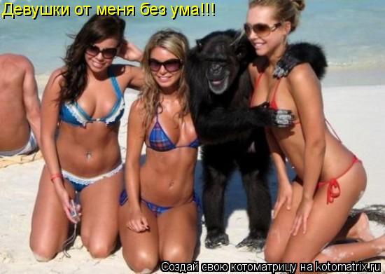 Девушки от меня без ума!!!... Котоматрица: Девушки от меня без ума!!!