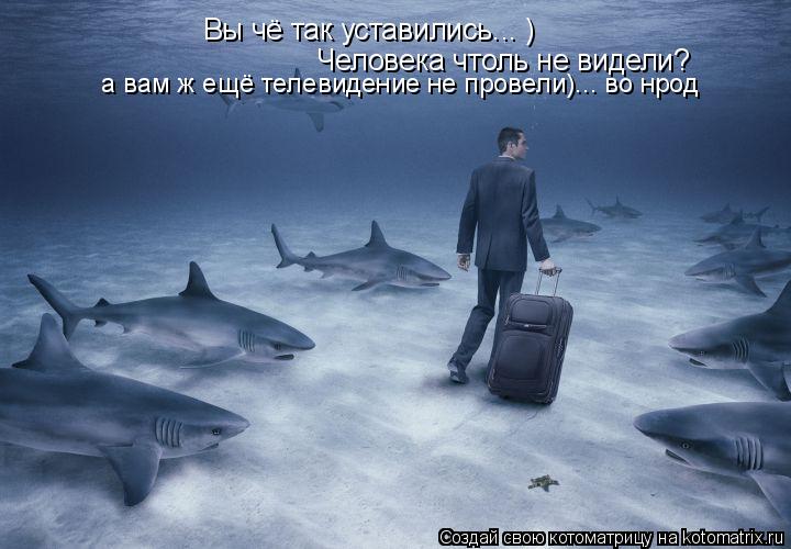 Вы чё так уставились... ) Человека чтоль не видели? а вам ж ещё телевидение не провели)... во нрод... Котоматрица: Вы чё так уставились... ) Человека чтоль не видели? а вам ж ещё телевидение не провели)... во нрод
