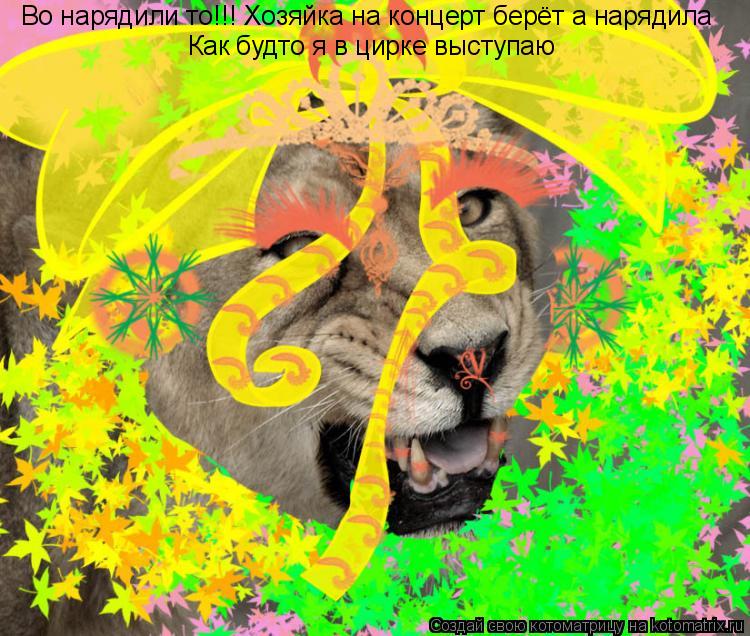 Во нарядили то!!! Хозяйка на концерт берёт а нарядила Как будто я в цирке выступаю... Котоматрица: Во нарядили то!!! Хозяйка на концерт берёт а нарядила Как будто я в цирке выступаю