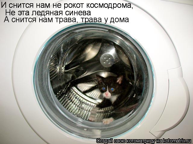 Котоматрица: И снится нам не рокот космодрома, И снится нам не рокот космодрома,   Hе эта ледяная синева   Hе эта ледяная синева  А снится нам трава, трава у 