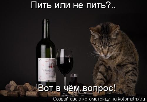 Котоматрица: Пить или не пить?.. Вот в чём вопрос!