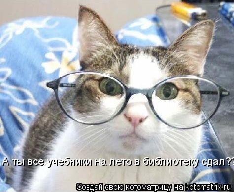 Котоматрица: А ты все учебники на лето в библиотеку сдал??
