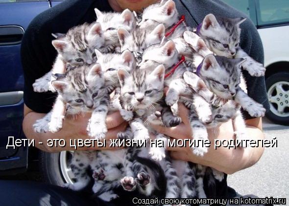 Дети - это цветы жизни на могиле родителей... Котоматрица: Дети - это цветы жизни на могиле родителей