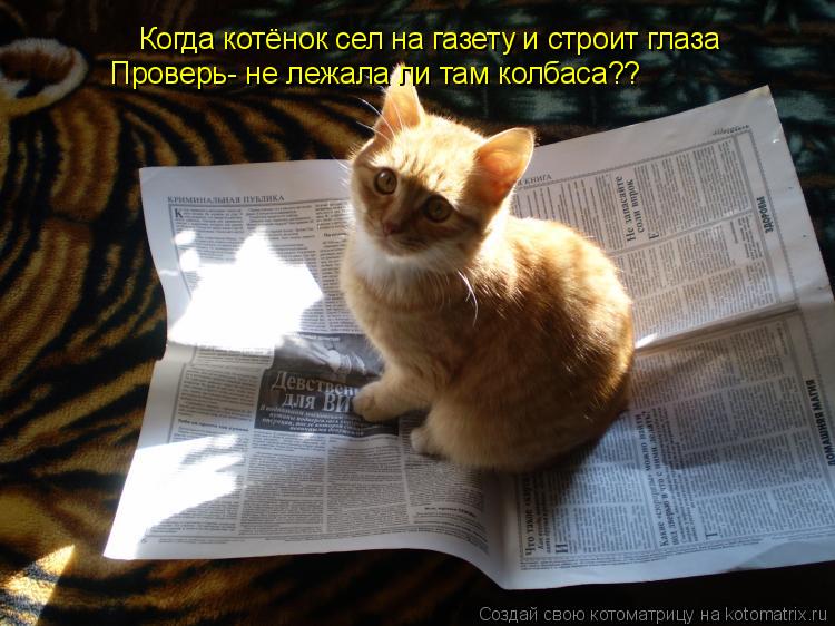 Когда котёнок сел на газету и строит глаза Проверь- не лежала ли там колбаса??... Котоматрица: Когда котёнок сел на газету и строит глаза Проверь- не лежала ли там колбаса??