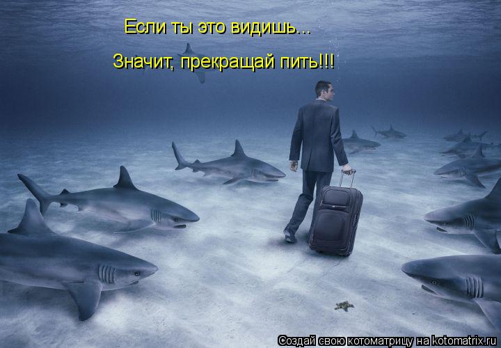 Если ты это видишь... Значит, прекращай пить!!!... Котоматрица: Если ты это видишь... Значит, прекращай пить!!!
