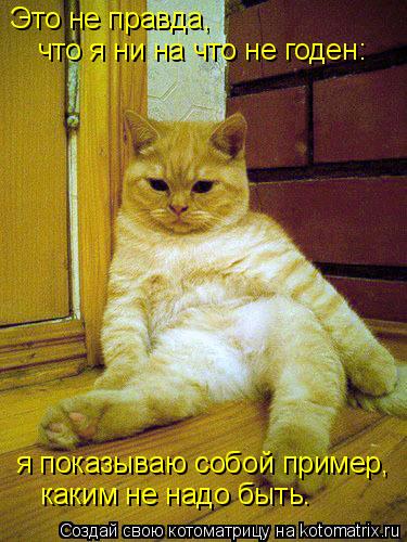 Это не правда, что я ни на что не годен: я показываю собой пример, каким не надо быть.... Котоматрица: Это не правда, что я ни на что не годен: я показываю собой пример, каким не надо быть.