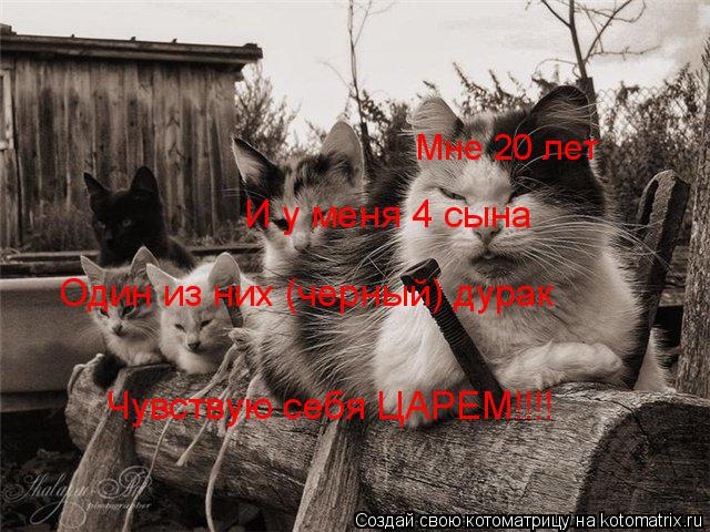 Котоматрица: Мне 20 лет И у меня 4 сына Один из них (черный) дурак Чувствую себя ЦАРЕМ!!!!