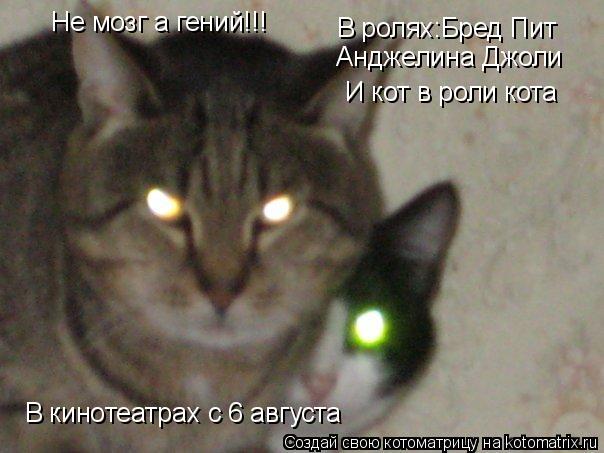 Котоматрица: Не мозг а гений!!! В кинотеатрах с 6 августа В ролях:Бред Пит Анджелина Джоли И кот в роли кота