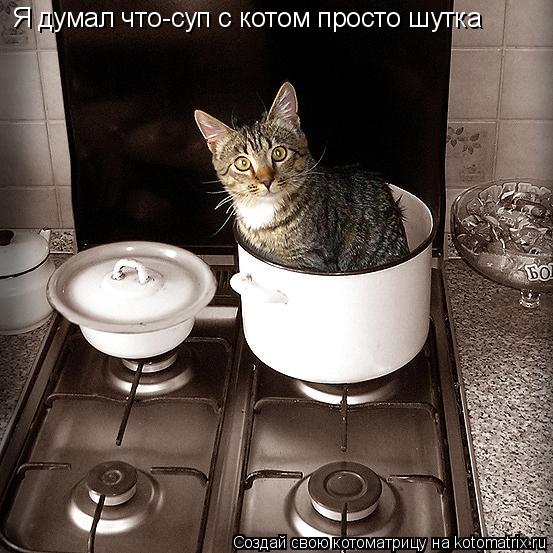 Котоматрица: Я думал что-суп с котом просто шутка