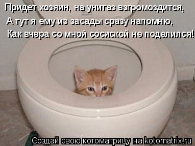 Котоматрица: Придет хозяин, на унитаз взгромоздится, А тут я ему из засады сразу напомню, Как вчера со мной сосиской не поделился!..