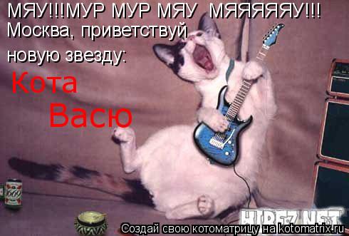 Котоматрица: МЯУ!!!МУР МУР МЯУ  МЯЯЯЯЯУ!!! Москва, приветствуй новую звезду: Кота Васю