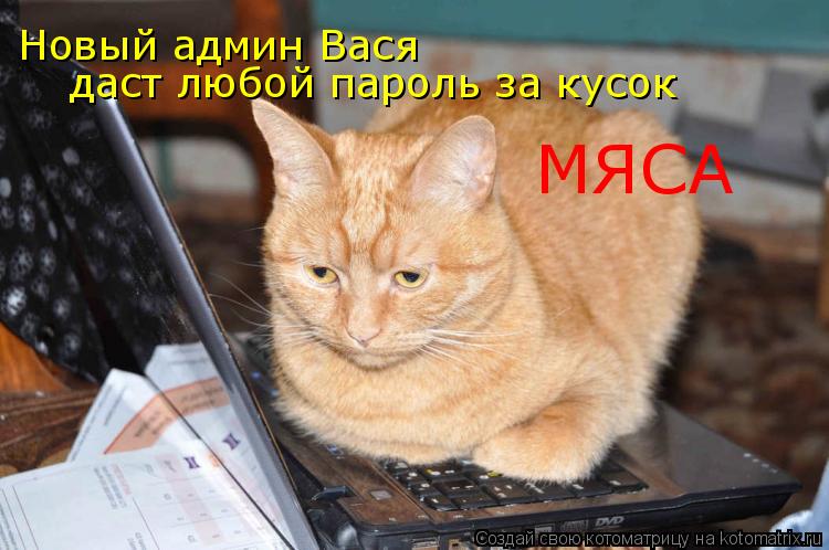 Котоматрица: Новый админ Вася даст любой пароль за кусок МЯСА