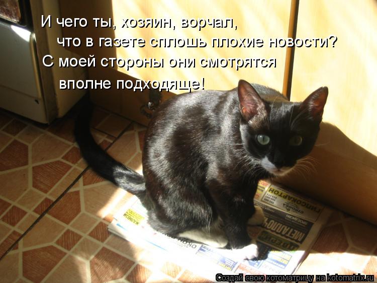 Котоматрица: И чего ты, хозяин, ворчал,  что в газете сплошь плохие новости? С моей стороны они смотрятся вполне подходяще!