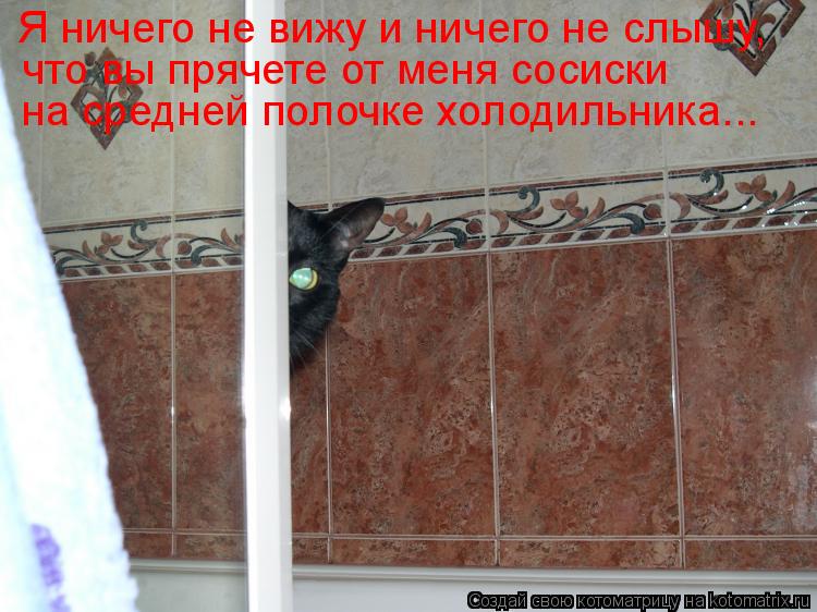 Я ничего не вижу и ничего не слышу, что вы прячете от меня сосиски на средней полочке холодильника...... Котоматрица: Я ничего не вижу и ничего не слышу, что вы прячете от меня сосиски на средней полочке холодильника...