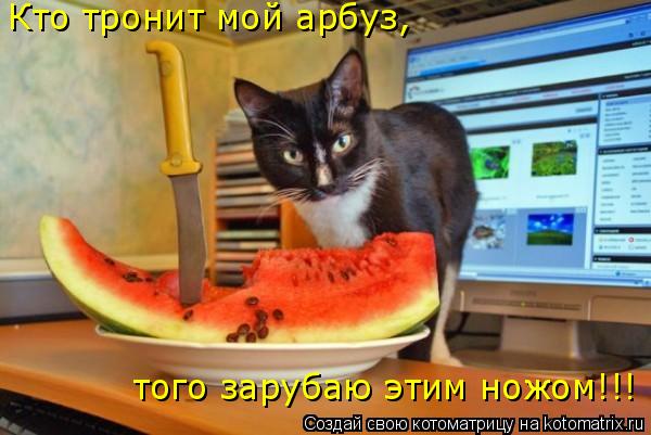 Котоматрица: Кто тронит мой арбуз, того зарубаю этим ножом!!!