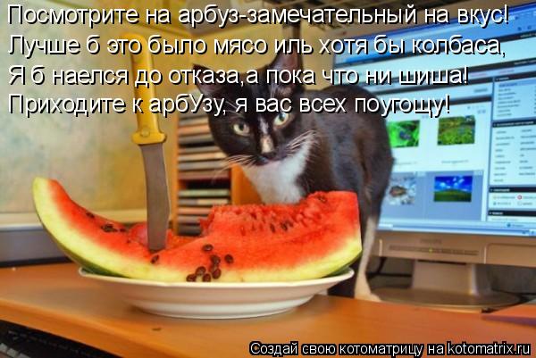 Котоматрица: Посмотрите на арбуз-замечательный на вкус! Лучше б это было мясо иль хотя бы колбаса, Я б наелся до отказа,а пока что ни шиша! Приходите к арб