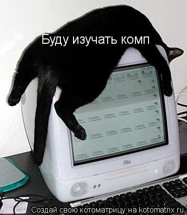 Котоматрица: Буду изучать комп