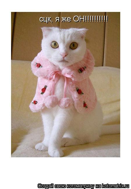 Котоматрица: сцк, я же ОН!!!!!!!!!!