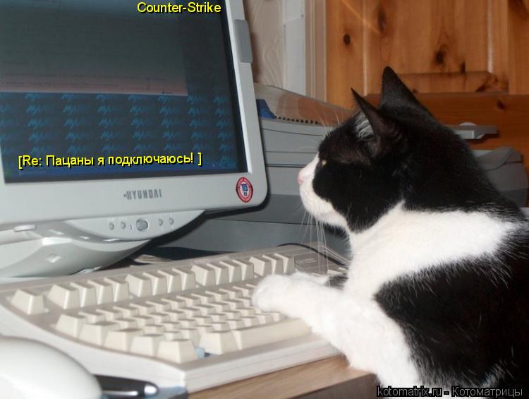 Котоматрица: Counter-Strike [Re: Пацаны я подключаюсь! ] [Re: Пацаны я подключаюсь! ]