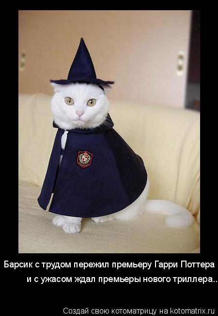 Котоматрица: Барсик с трудом пережил премьеру Гарри Поттера и с ужасом ждал премьеры нового триллера...