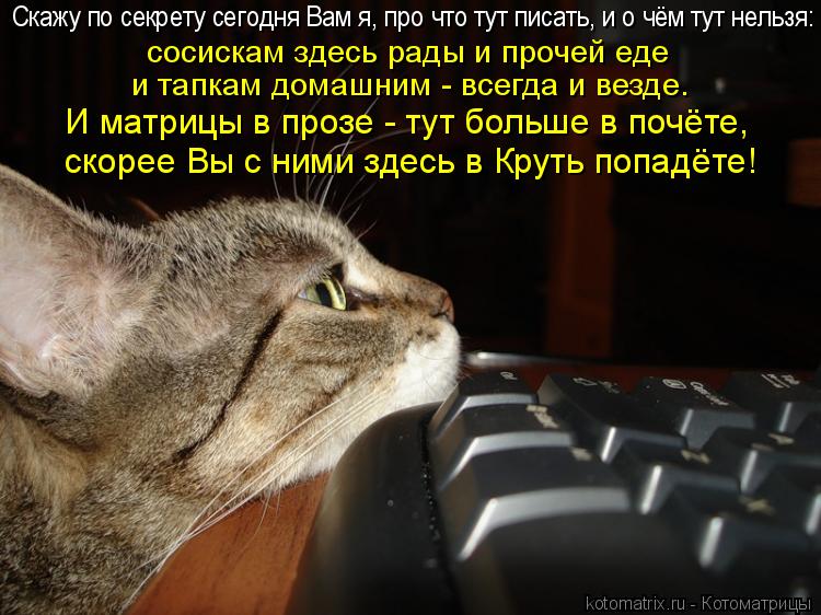 Котоматрица: Скажу по секрету сегодня Вам я, про что тут писать, и о чём тут нельзя: сосискам здесь рады и прочей еде и тапкам домашним - всегда и везде. И м