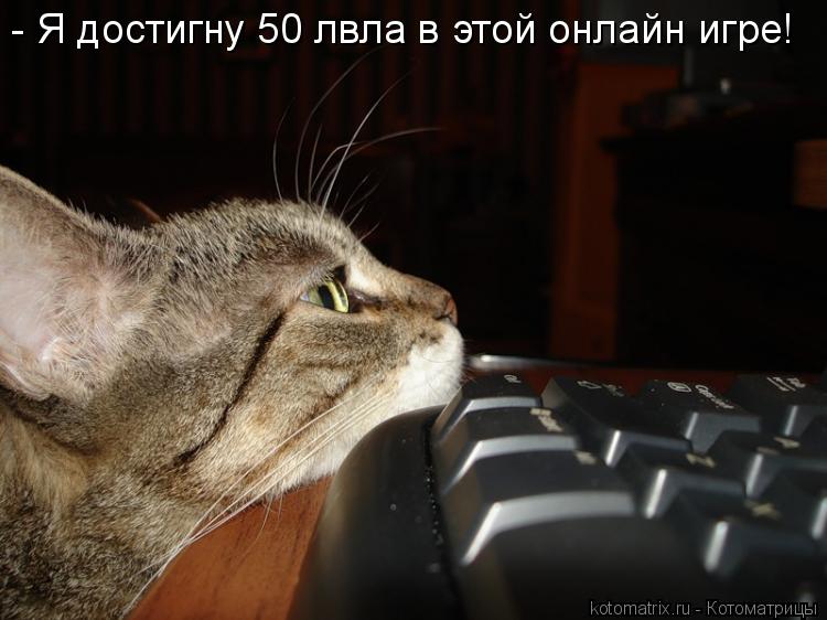 Котоматрица: - Я достигну 50 лвла в этой онлайн игре!