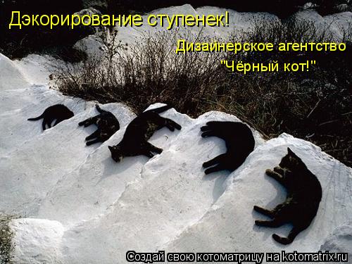 Дэкорирование ступенек! Дизайнерское агентство "Чёрный кот!"... Котоматрица: Дэкорирование ступенек! Дизайнерское агентство "Чёрный кот!"