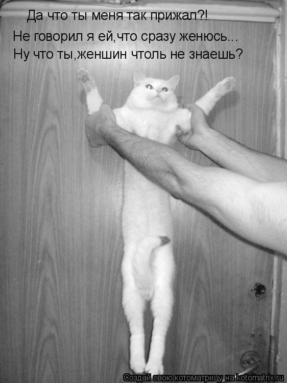 Да что ты меня так прижал?! Не говорил я ей,что сразу женюсь... Ну что ты,женшин чтоль не знаешь?... Котоматрица: Да что ты меня так прижал?! Не говорил я ей,что сразу женюсь... Ну что ты,женшин чтоль не знаешь?
