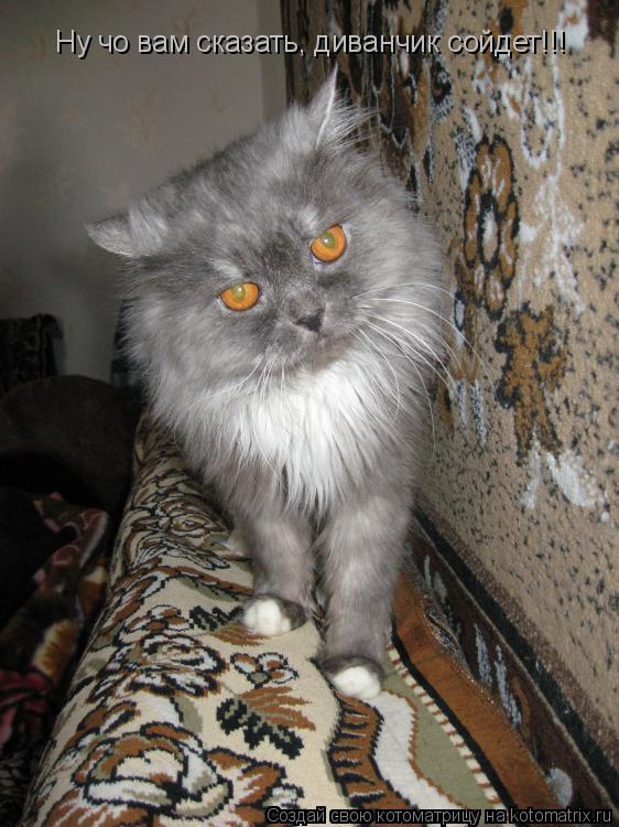 Ну чо вам сказать, диванчик сойдет!!!... Котоматрица: Ну чо вам сказать, диванчик сойдет!!!