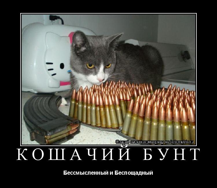 Котоматрица: кошачий бунт Бессмысленный и Беспощадный