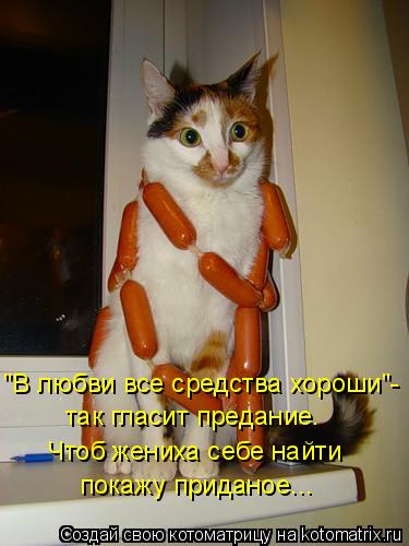 Котоматрица: "В любви все средства хороши"- так гласит предание. Чтоб жениха себе найти покажу приданое...