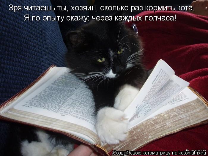 Котоматрица: Зря читаешь ты, хозяин, сколько раз кормить кота.  Я по опыту скажу: через каждых полчаса!