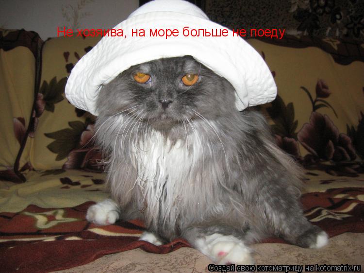 Не хозяива, на море больше не поеду... Котоматрица: Не хозяива, на море больше не поеду