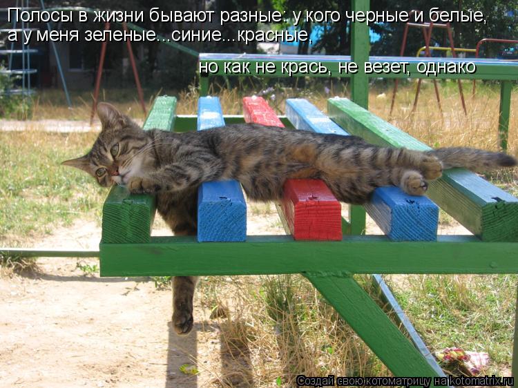 Полосы в жизни бывают разные: у кого черные и белые, а у меня зеленые...синие...красные, но как не к... Котоматрица: Полосы в жизни бывают разные: у кого черные и белые, а у меня зеленые...синие...красные, но как не крась, не везет, однако