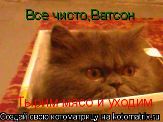 Котоматрица: Все чисто,Ватсон Тырим мясо и уходим