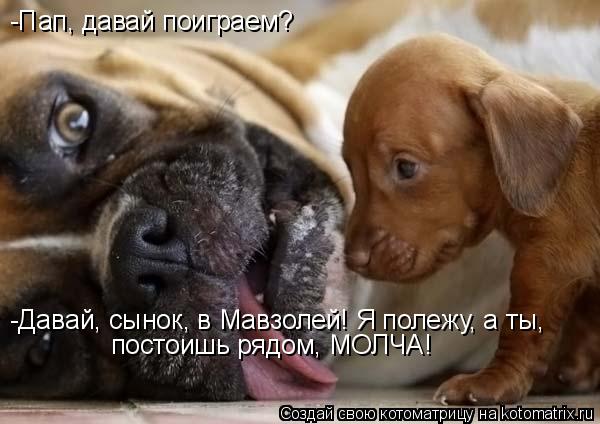 Котоматрица: -Пап, давай поиграем? -Давай, сынок, в Мавзолей! Я полежу, а ты, постоишь рядом, МОЛЧА!