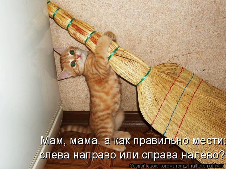 Котоматрица: слева направо или справа налево? Мам, мама, а как правильно мести: