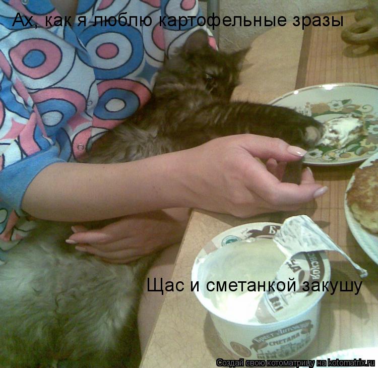 Котоматрица: Ах, как я люблю картофельные зразы Щас и сметанкой закушу