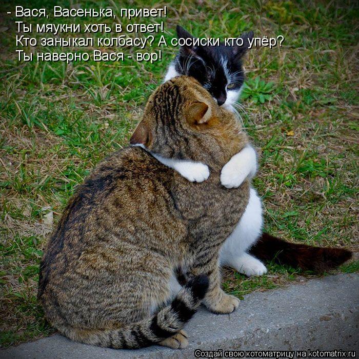 Котоматрица: - Вася, Васенька, привет! Ты мяукни хоть в ответ! Кто заныкал колбасу? А сосиски кто упёр? Ты наверно Вася - вор!