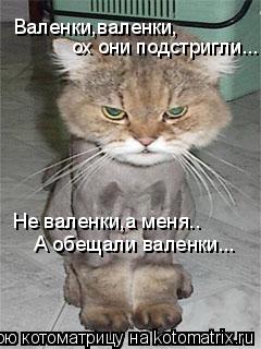 Котоматрица: Валенки,валенки, ох они подстригли... Не валенки,а меня.. А обещали валенки...