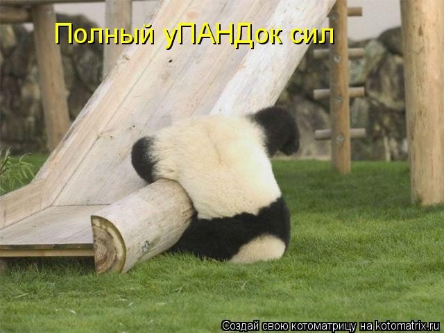 Полный уПАНДок сил... Котоматрица: Полный уПАНДок сил