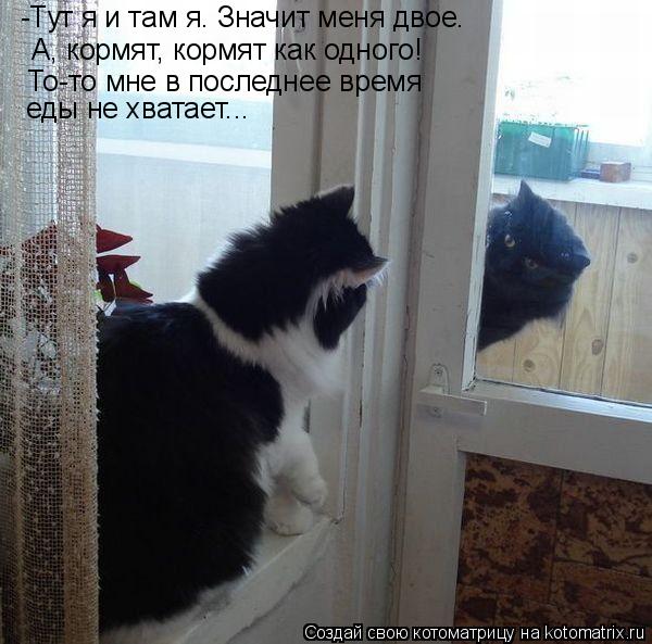 -Тут я и там я. Значит меня двое. А, кормят, кормят как одного! То-то мне в последнее время еды не ... Котоматрица: -Тут я и там я. Значит меня двое. А, кормят, кормят как одного! То-то мне в последнее время еды не хватает...