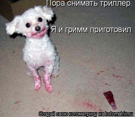 Котоматрица: Пора снимать триллер. Я и гримм приготовил