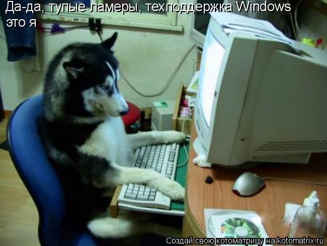 Котоматрица: Да-да, тупые ламеры, техподдержка Windows это я