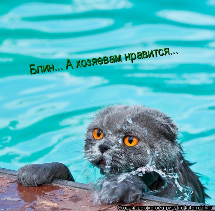 Котоматрица: Блин... А хозяевам нравится...
