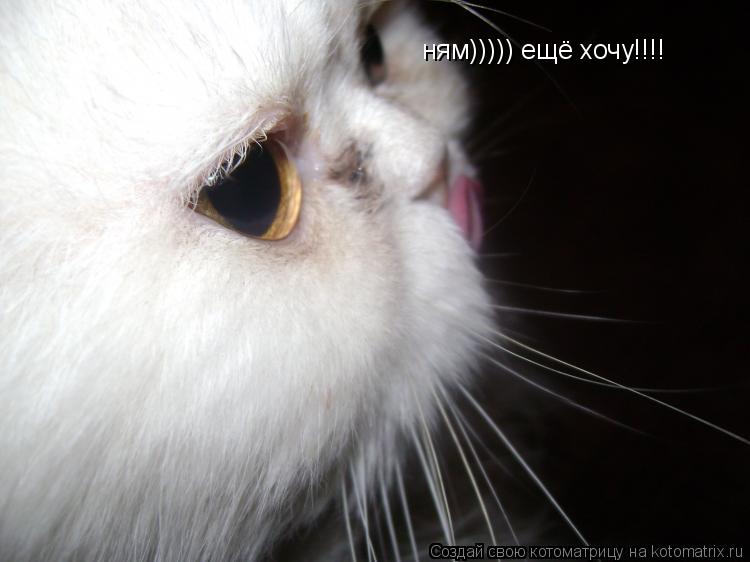 Котоматрица: ням))))) ещё хочу!!!!