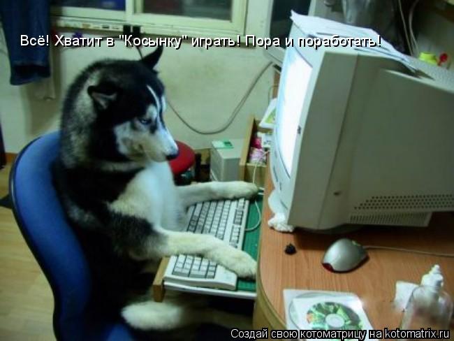 Котоматрица: Всё! Хватит в "Косынку" играть! Пора и поработать!