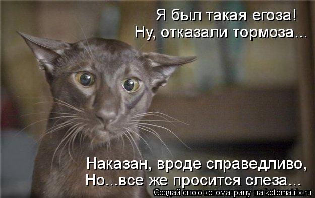 Я был такая егоза! Ну, отказали тормоза... Наказан, вроде справедливо, Но...все же просится слеза...... Котоматрица: Я был такая егоза! Ну, отказали тормоза... Наказан, вроде справедливо, Но...все же просится слеза...