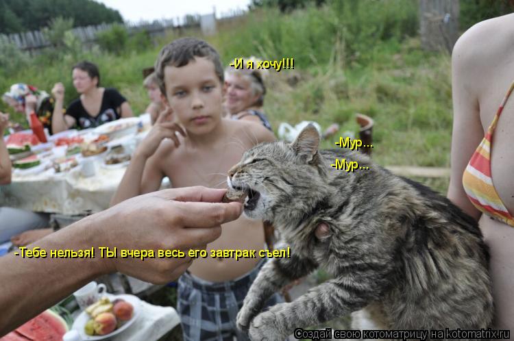 -И я хочу!!! -Мур... -Мур... -Тебе нельзя! ТЫ вчера весь его завтрак съел!... Котоматрица: -И я хочу!!! -Мур... -Мур... -Тебе нельзя! ТЫ вчера весь его завтрак съел!